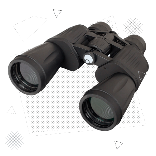 Надзорная и инспекционная деятельность в сфере труда