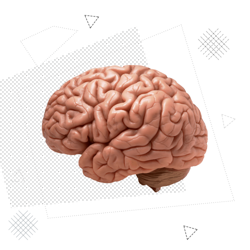 Государственное управление и администрирование