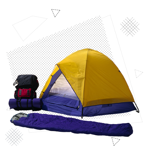 Организация и управление в индустрии туризма