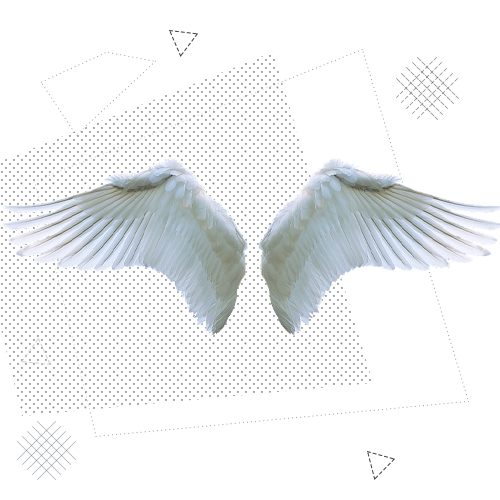 Предпринимательство и управление бизнесом