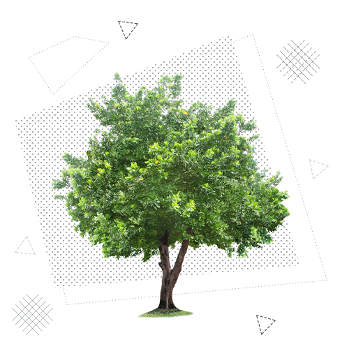 Экологическая безопасность